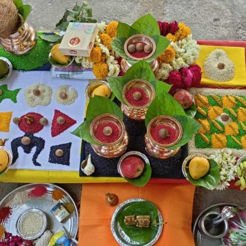 Kaalsarp Dosh Puja in USA (United States)