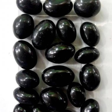 Shaligrams in USA (United States)