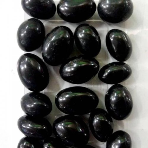 Shaligrams in USA (United States)