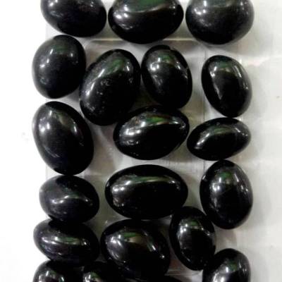 Shaligrams in Sungai Petani